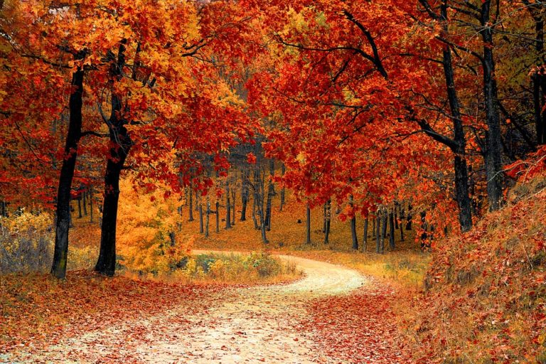 autunno metodo shaolin autunno metodo shaolin