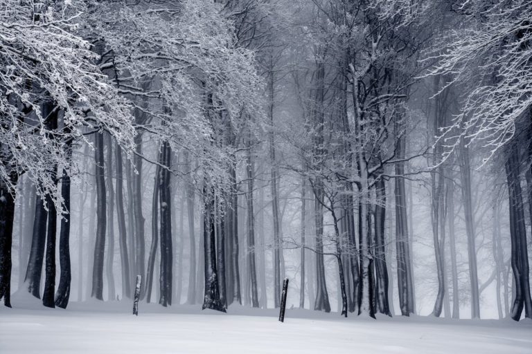 inverno metodo shaolin inverno metodo shaolin
