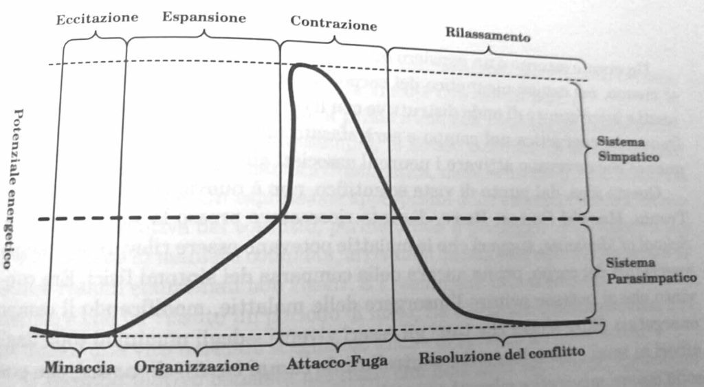 effetti del caffè